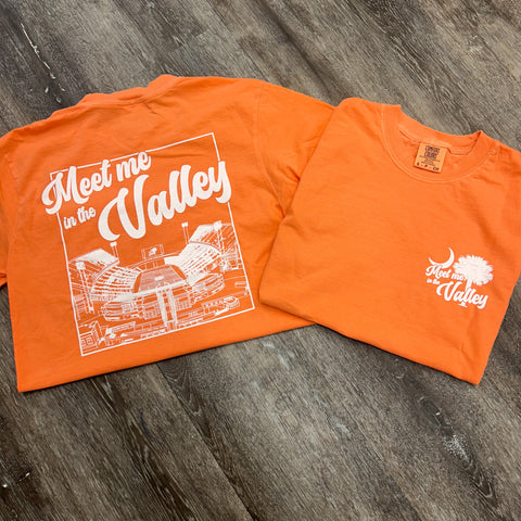 Meet me in the valley T